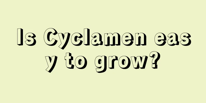 Is Cyclamen easy to grow?