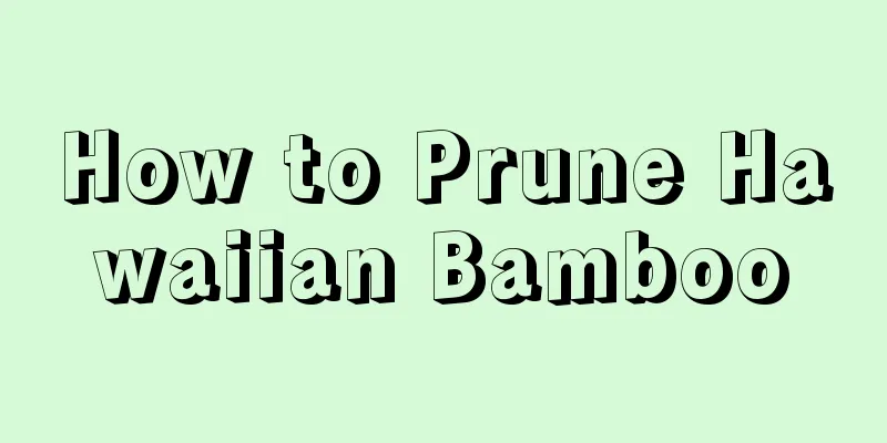 How to Prune Hawaiian Bamboo