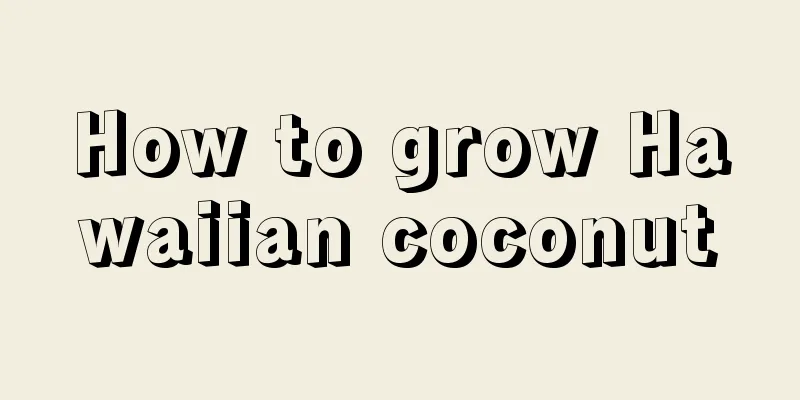 How to grow Hawaiian coconut