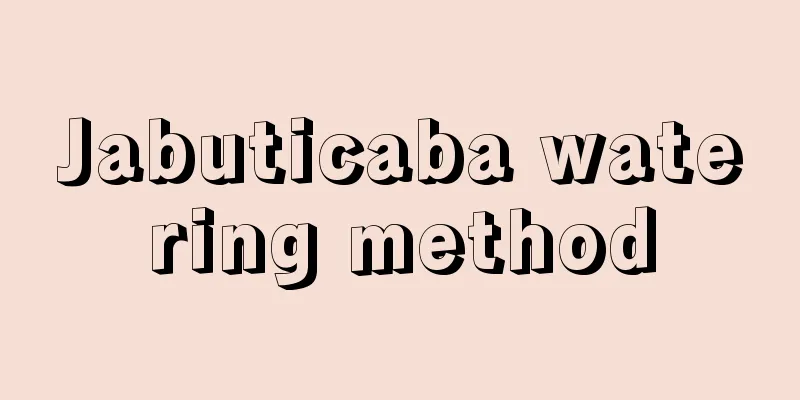 Jabuticaba watering method