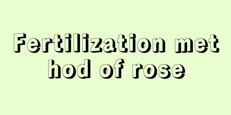 Fertilization method of rose