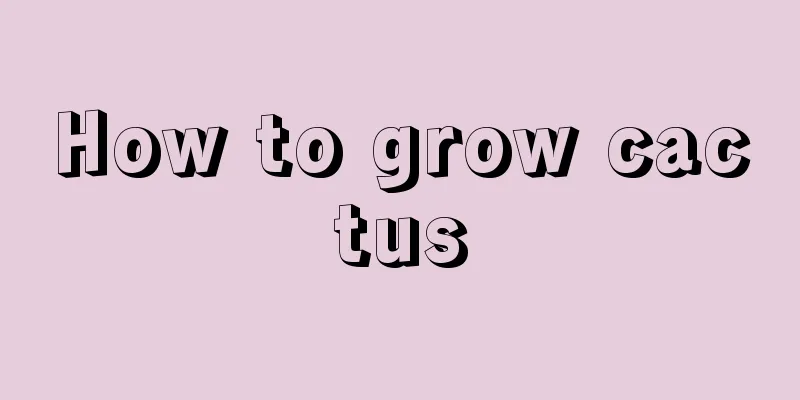 How to grow cactus