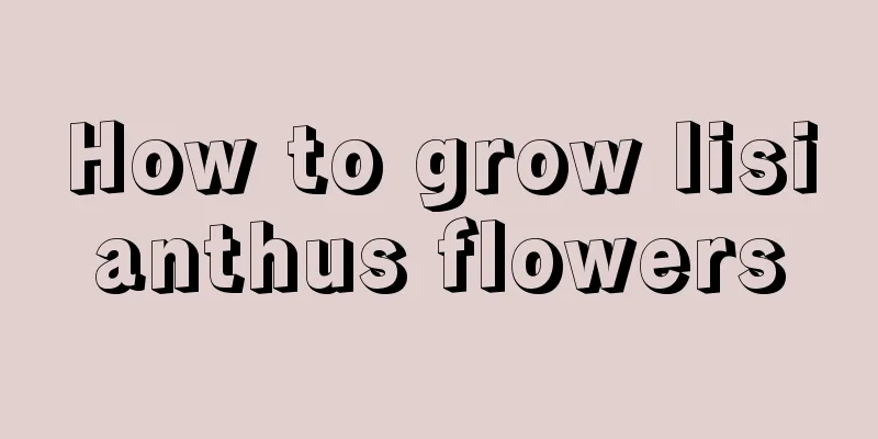 How to grow lisianthus flowers