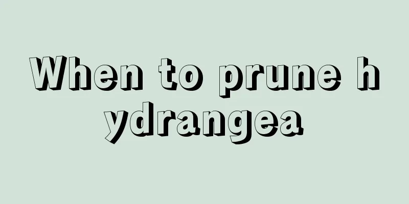 When to prune hydrangea