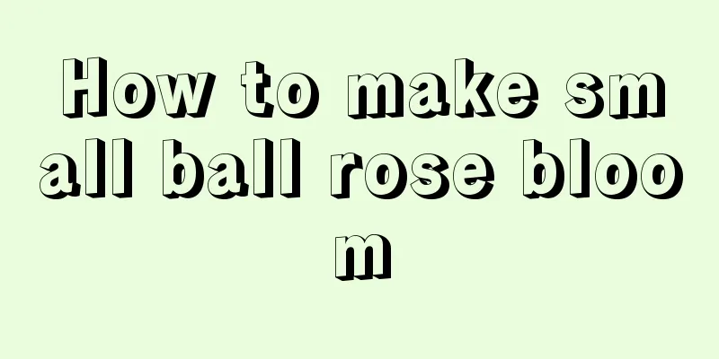 How to make small ball rose bloom