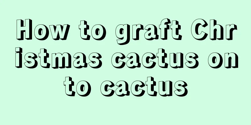 How to graft Christmas cactus onto cactus