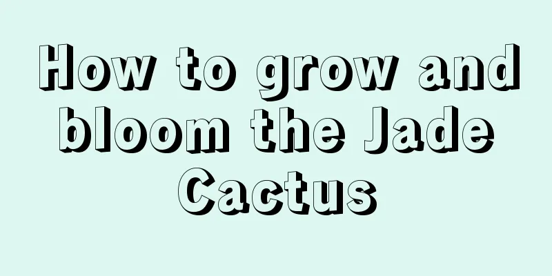 How to grow and bloom the Jade Cactus