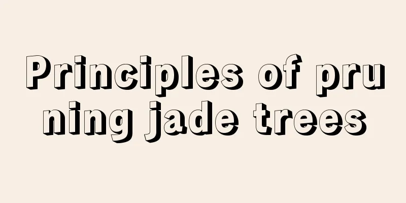 Principles of pruning jade trees