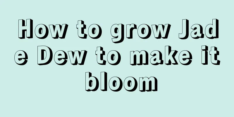 How to grow Jade Dew to make it bloom