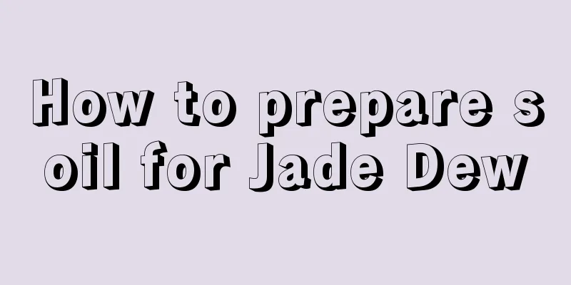 How to prepare soil for Jade Dew