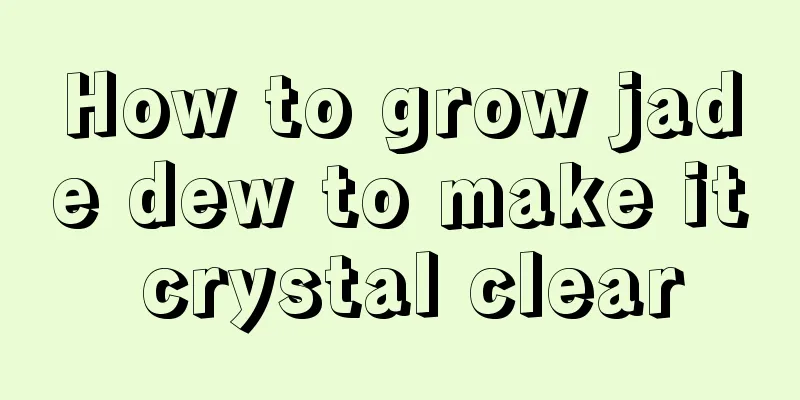 How to grow jade dew to make it crystal clear