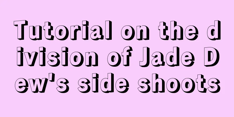 Tutorial on the division of Jade Dew's side shoots