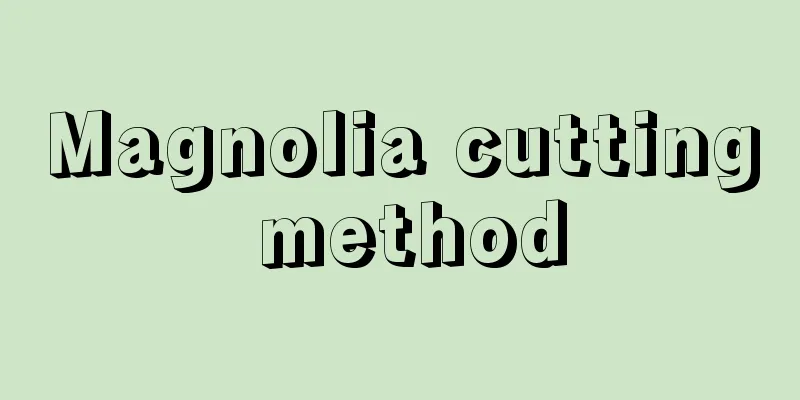 Magnolia cutting method