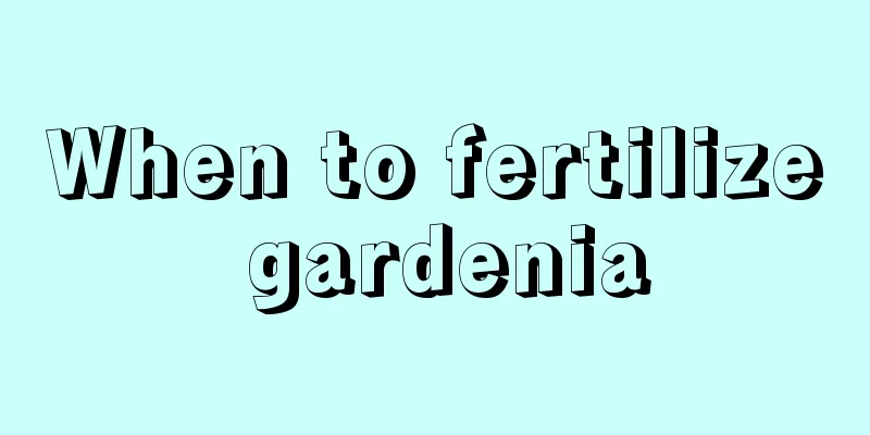 When to fertilize gardenia