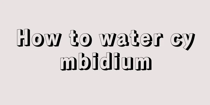 How to water cymbidium