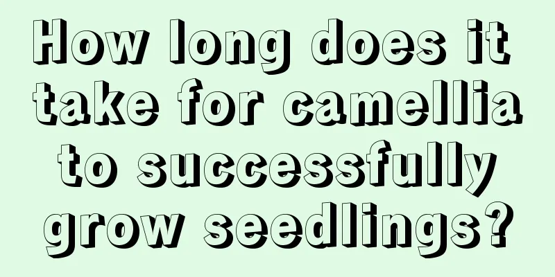 How long does it take for camellia to successfully grow seedlings?