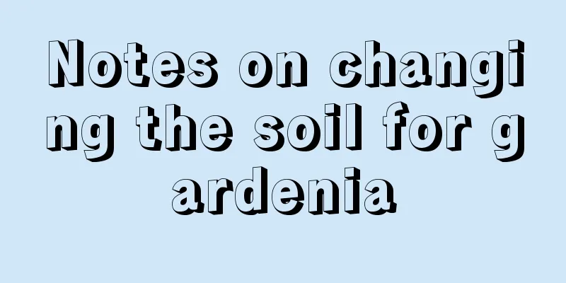 Notes on changing the soil for gardenia