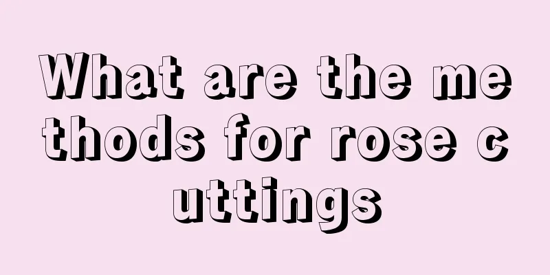 What are the methods for rose cuttings