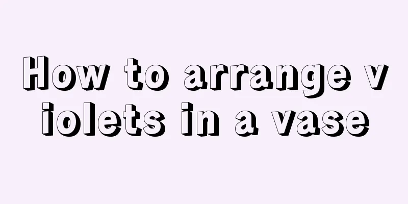 How to arrange violets in a vase