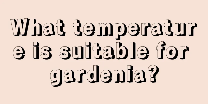 What temperature is suitable for gardenia?