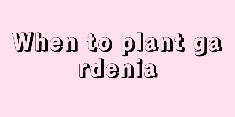 When to plant gardenia