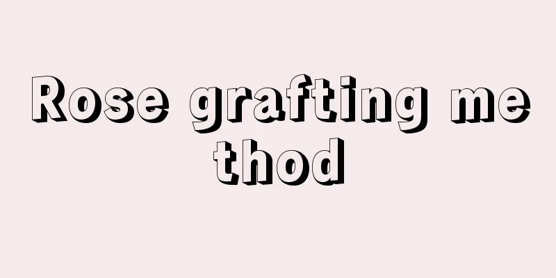 Rose grafting method