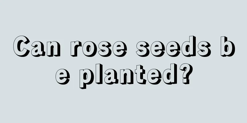 Can rose seeds be planted?