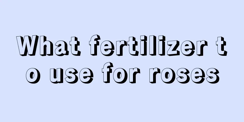 What fertilizer to use for roses