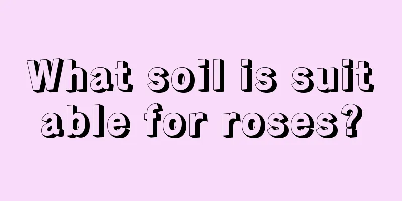 What soil is suitable for roses?