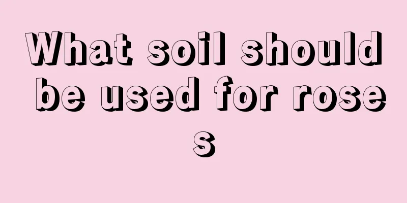 What soil should be used for roses