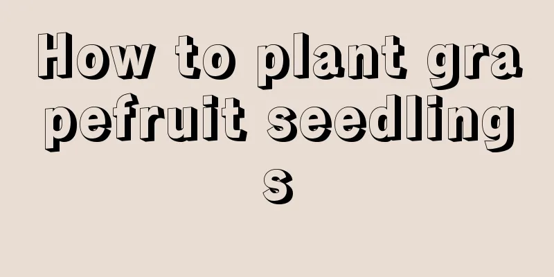 How to plant grapefruit seedlings