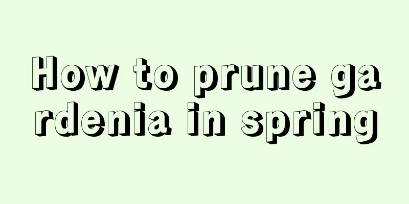 How to prune gardenia in spring