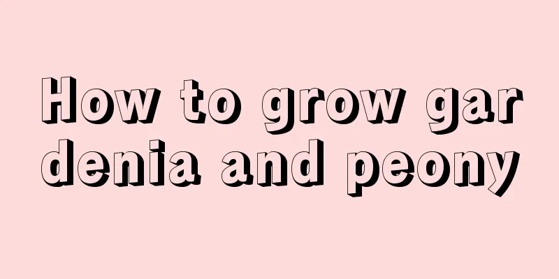 How to grow gardenia and peony