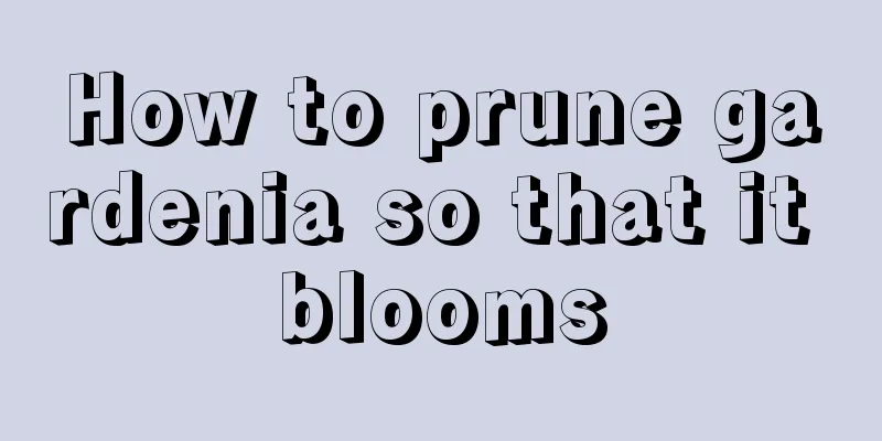 How to prune gardenia so that it blooms