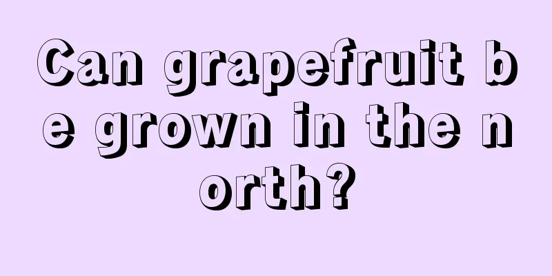 Can grapefruit be grown in the north?