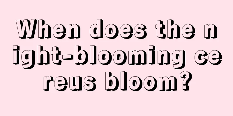 When does the night-blooming cereus bloom?