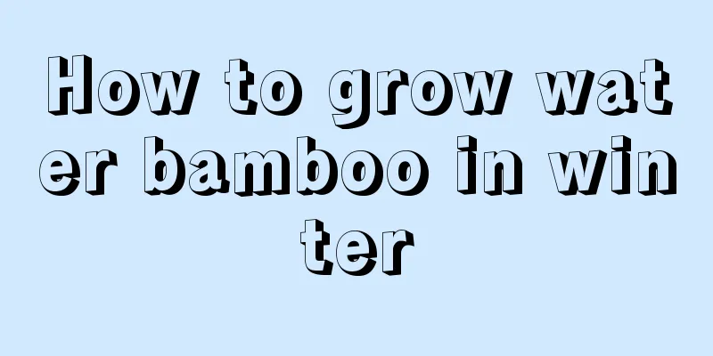 How to grow water bamboo in winter