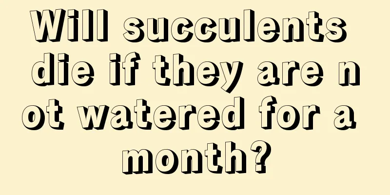 Will succulents die if they are not watered for a month?