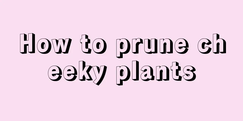 How to prune cheeky plants