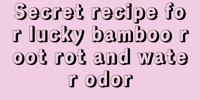 Secret recipe for lucky bamboo root rot and water odor