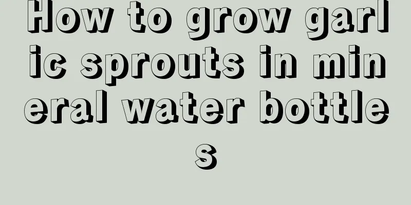 How to grow garlic sprouts in mineral water bottles