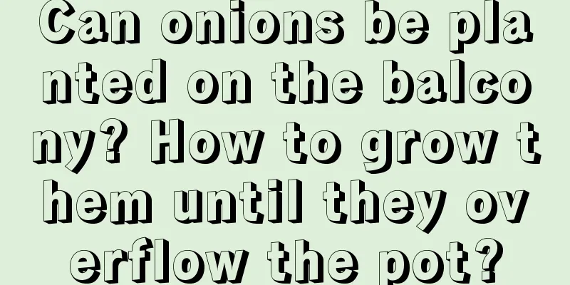 Can onions be planted on the balcony? How to grow them until they overflow the pot?