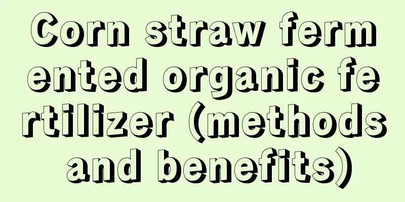 Corn straw fermented organic fertilizer (methods and benefits)