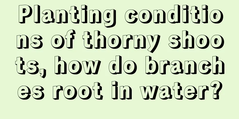 Planting conditions of thorny shoots, how do branches root in water?