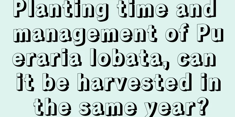 Planting time and management of Pueraria lobata, can it be harvested in the same year?