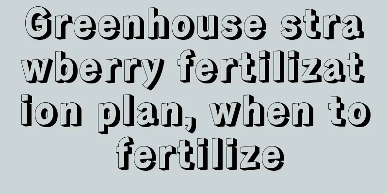 Greenhouse strawberry fertilization plan, when to fertilize