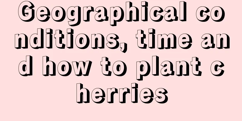 Geographical conditions, time and how to plant cherries