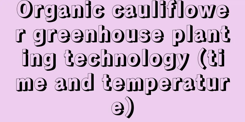 Organic cauliflower greenhouse planting technology (time and temperature)