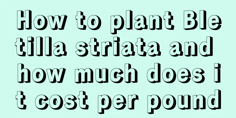 How to plant Bletilla striata and how much does it cost per pound