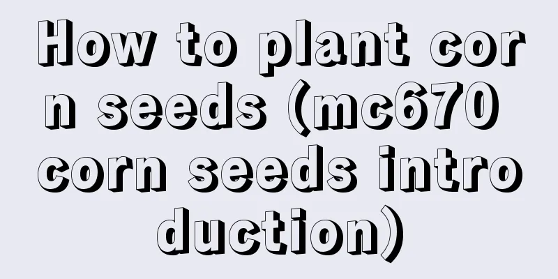 How to plant corn seeds (mc670 corn seeds introduction)